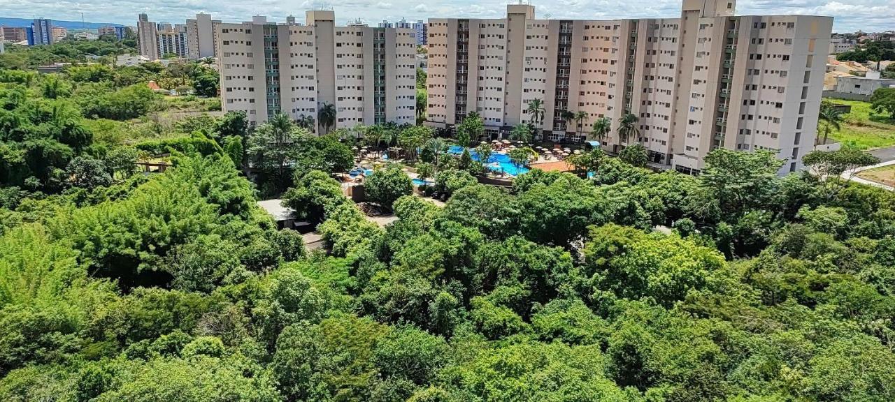 Ecologic - Oficial Resort
